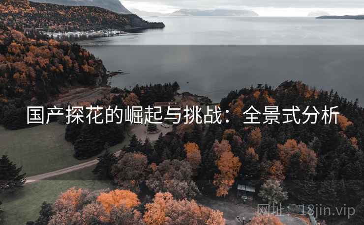 国产探花的崛起与挑战:全景式分析