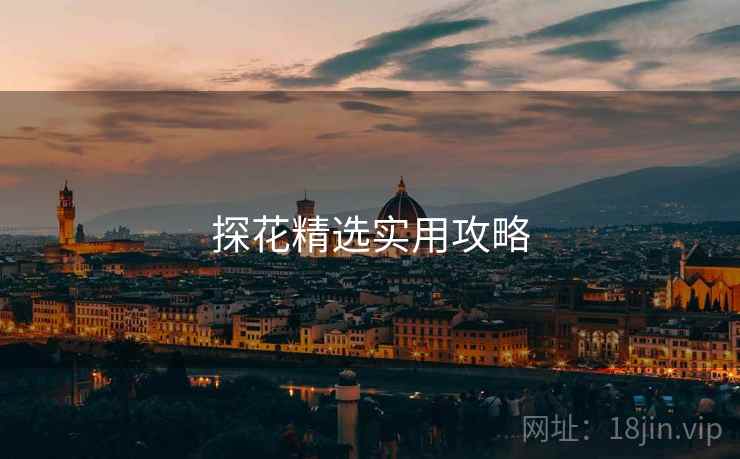 探花精选实用攻略