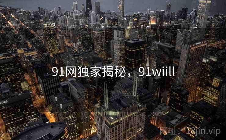91网独家揭秘，91wiill