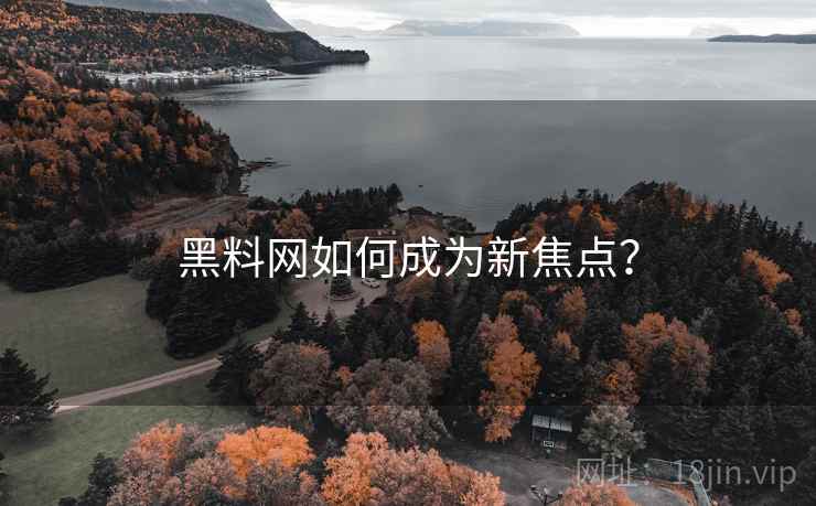 详细阅读:黑料网如何成为新焦点? 黑料网如何成为新焦点?